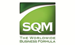 mSQM