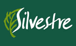 mSilvestre